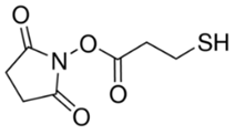 3-Mercaptopropanyl-N-hydroxysuccinimide ester