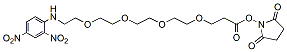 DNP-PEG4-NHS ester