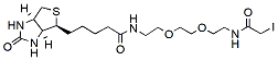 Biotin-PEG2-iodide