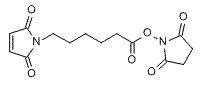 Maleimide-heptanoic NHS ester