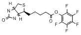 Biotin-PFP ester