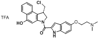 Duocarmycin DM