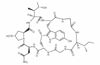 gamma-Amanitin