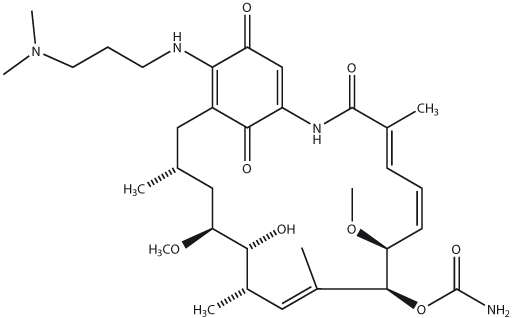 17-DMAP-GA