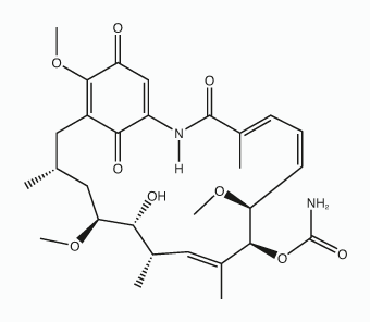 Geldanamycin