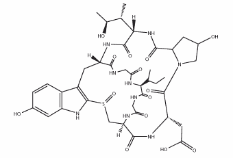 epsilon-Amanitin