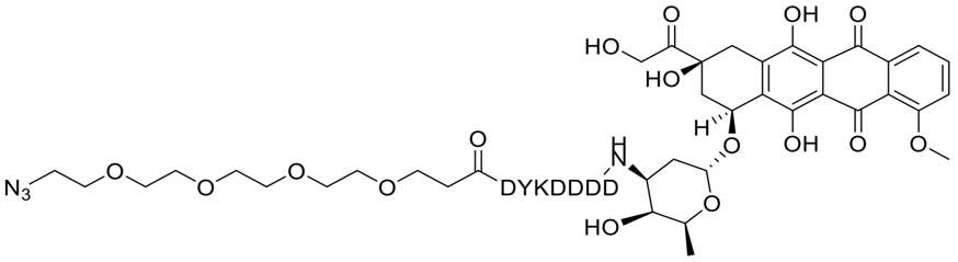 N3-PEG4-DYKDDDD-Doxorubicin