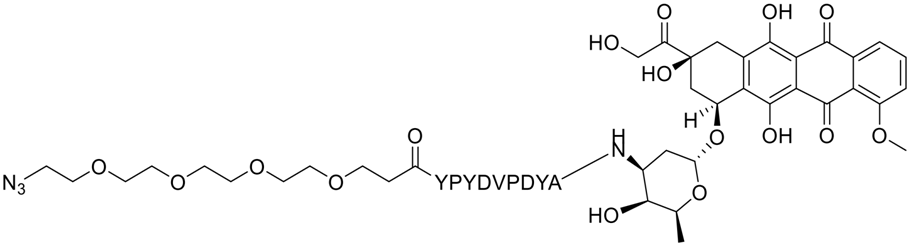 N3-PEG4-YPYDVPDYA-Doxorubicin