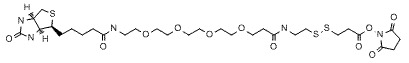 Biotin-PEG4-SS-NHS Ester