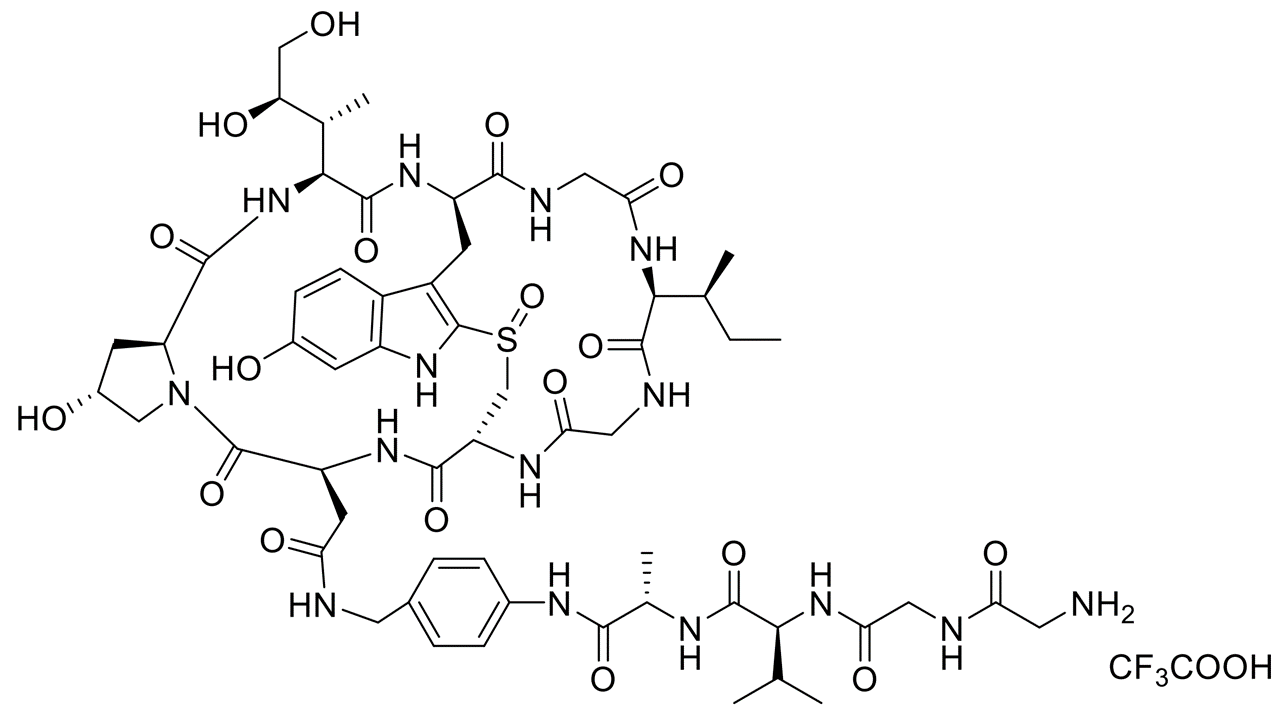 GGVA-PAB-Beta-Amanitin