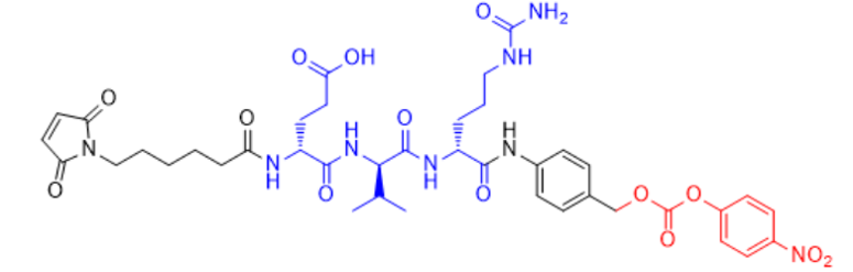 Mal-Glu-Val-Cit-PAB-PNP