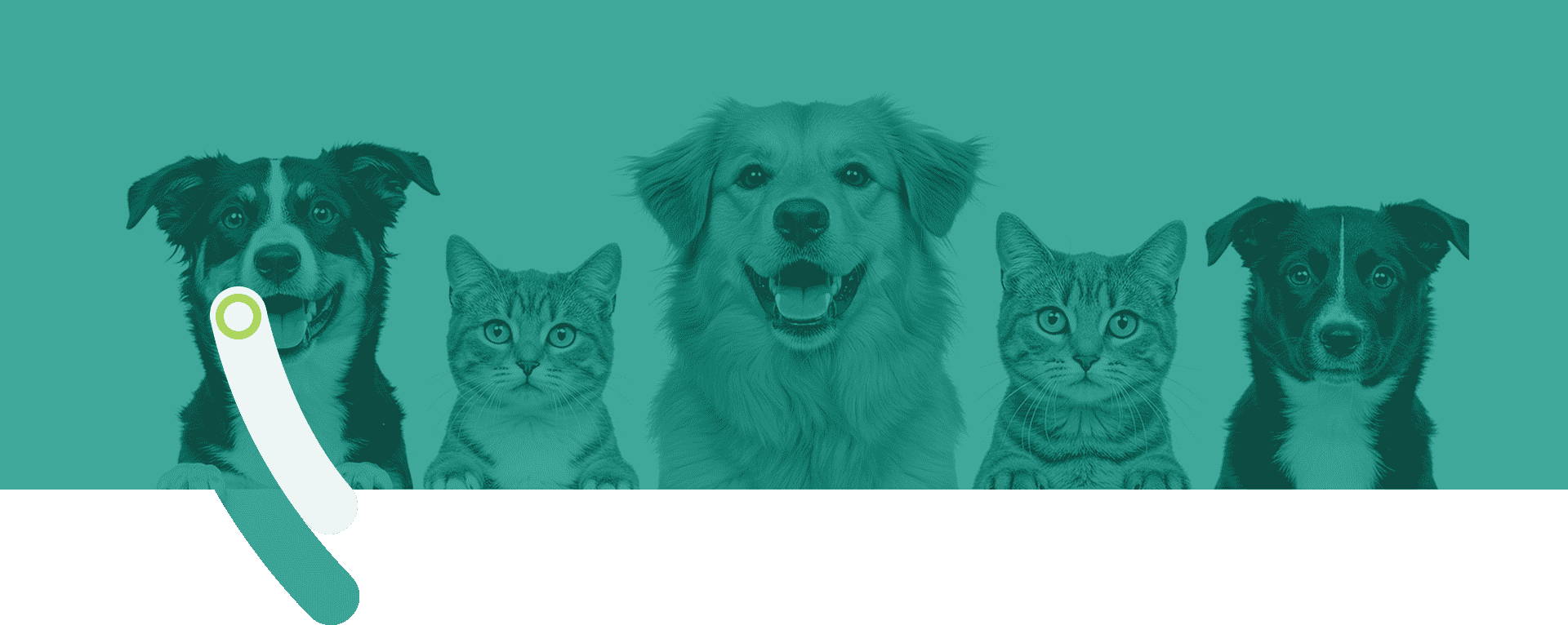 Let's Advance Pet Health