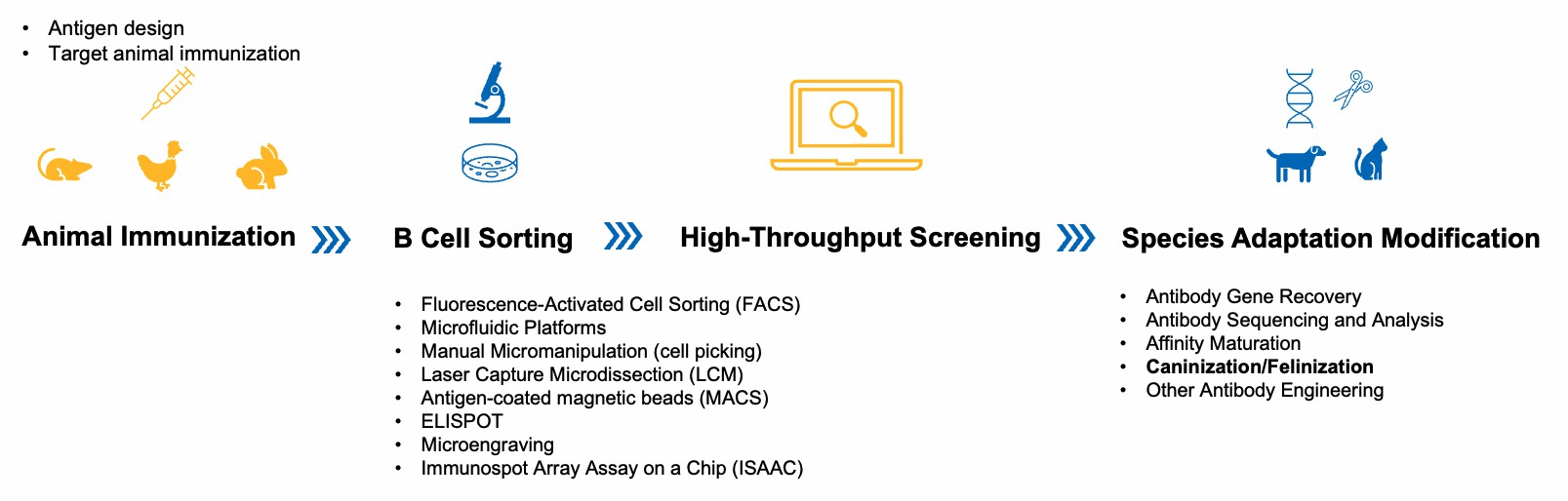Single-B Cell Sorting Pet Antibody Discovery Workflow. (Creative Biolabs Original)