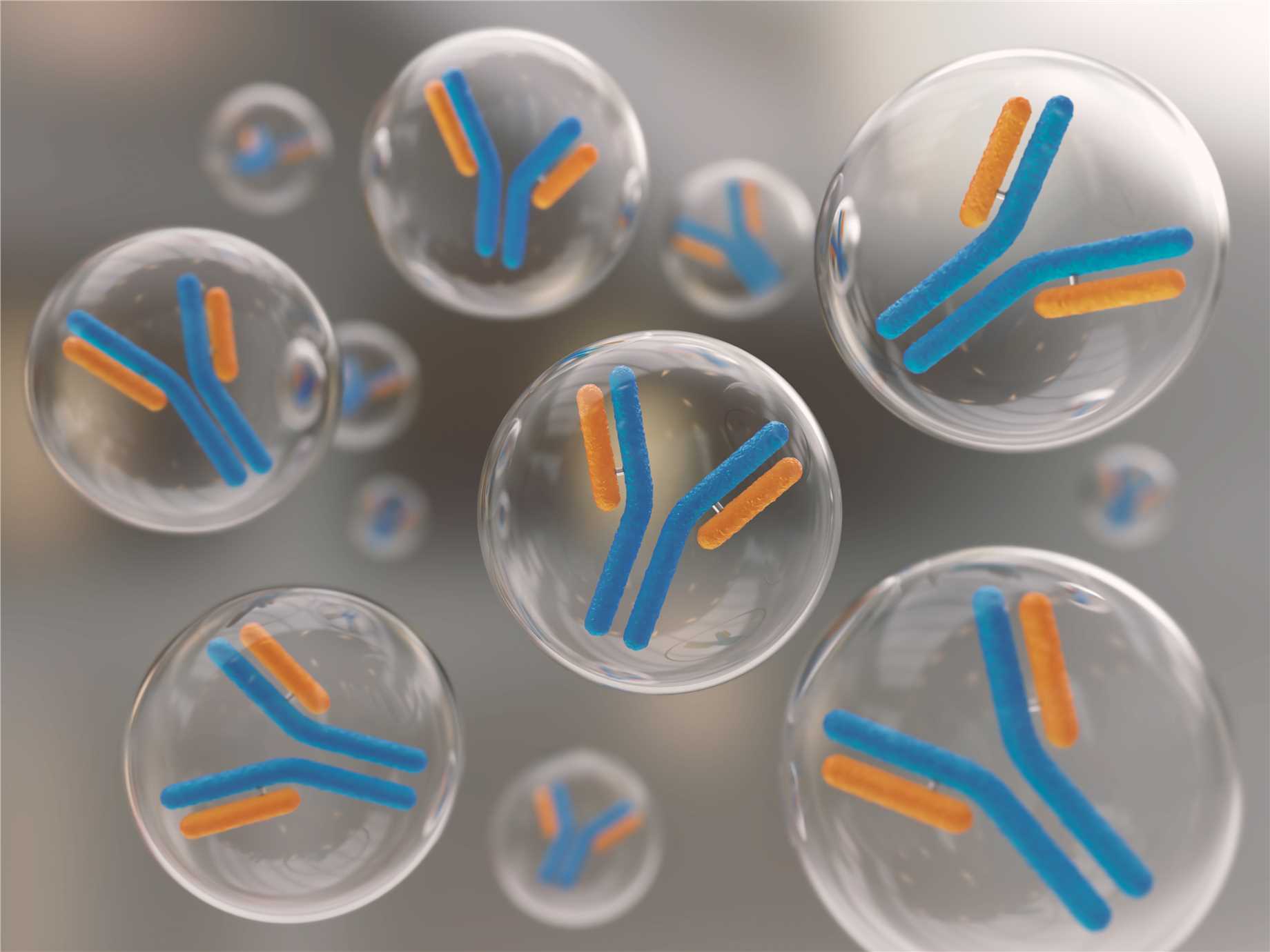 Creative Biolabs hybridoma based pet antibody discovery service advantages