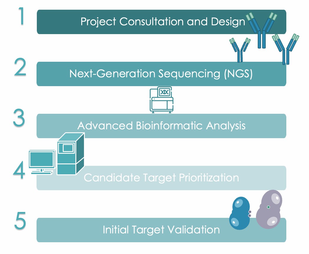 Pet Antibody Target Genomics Discovery Workflow. (Creative Biolabs Original)