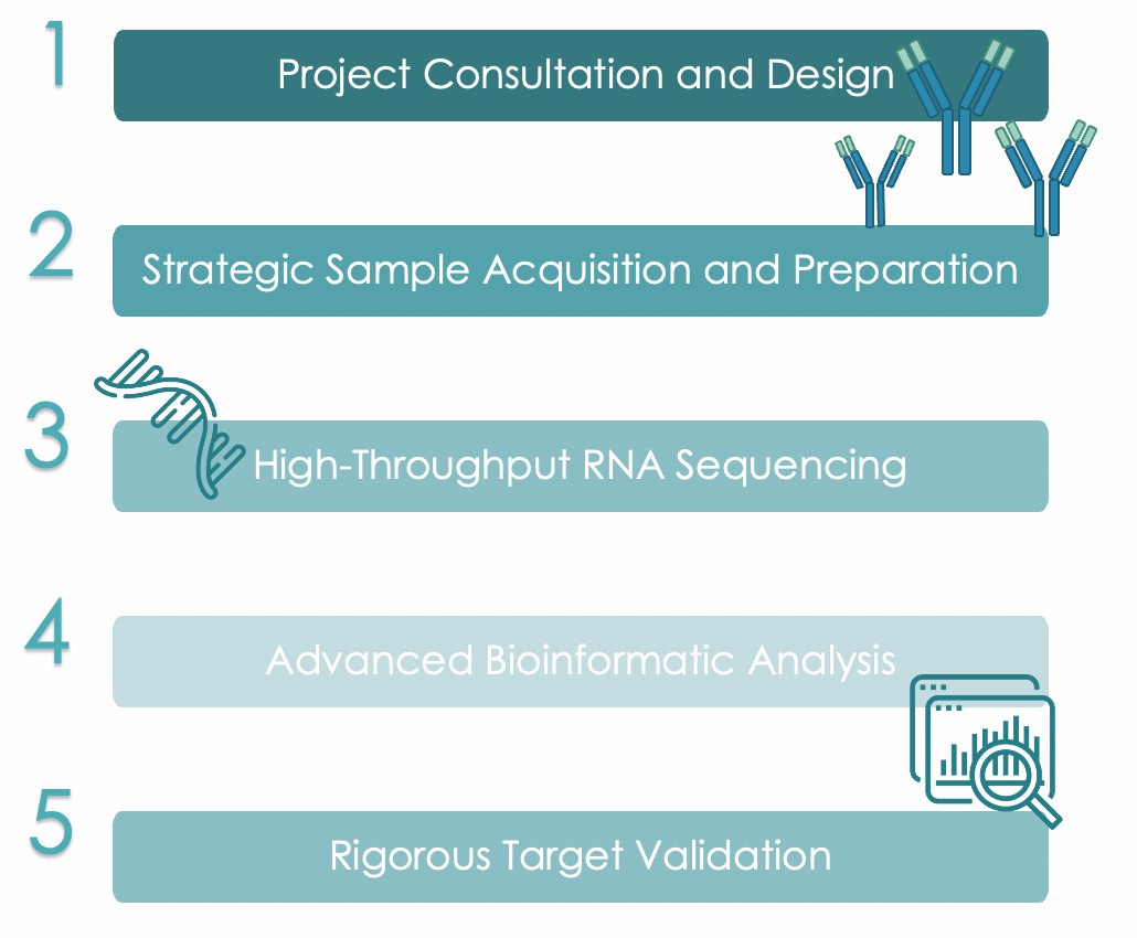 Pet Antibody Target Transcriptomics Discovery Workflow. (Creative Biolabs Original)