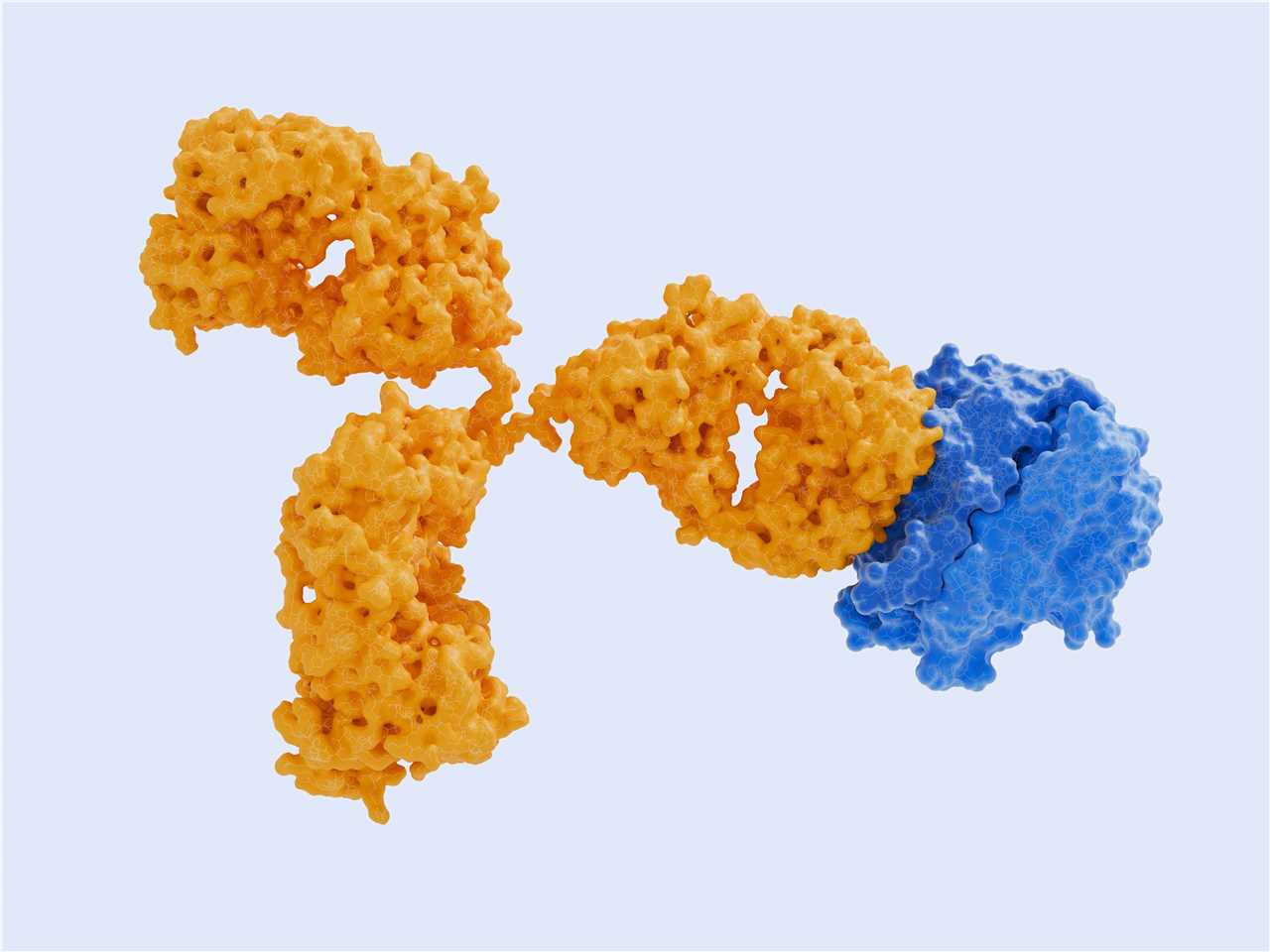 Pet Antibody Target Proteomics Discovery. (Creative Biolabs Authorized)