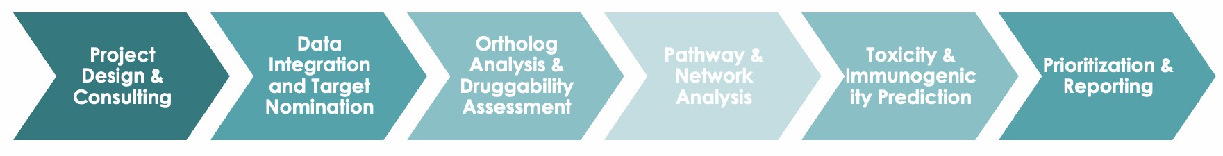 Pet Antibody Target In Silico Discovery Workflow. (Creative Biolabs Original)
