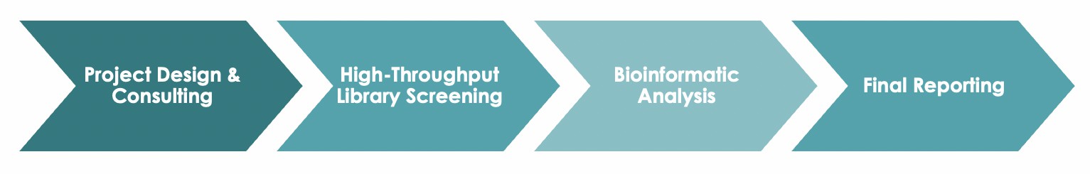 HTS Pet Antibody Target Discovery Workflow. (Creative Biolabs Original)