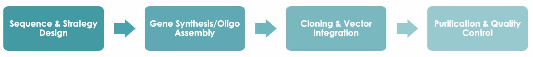 Veterinary DNA/RNA Antigen Generation Service Workflow. (Creative Biolabs Original)