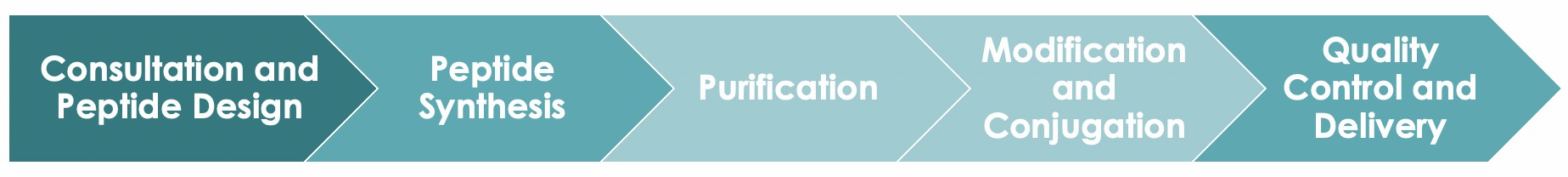 Peptide Antigen Generation Service Workflow. (Creative Biolabs Original)