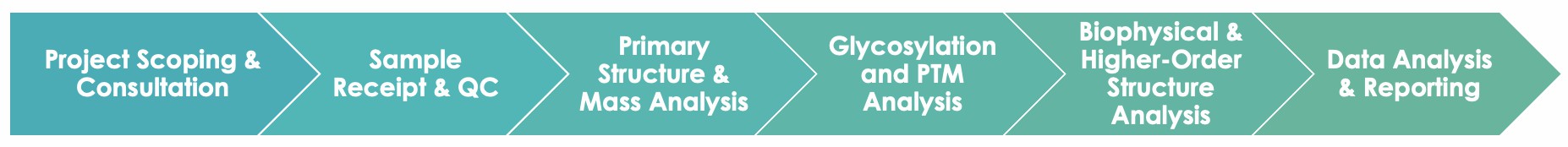 Antibody Physiochemical Characterization Service Workflow. (Creative Biolabs Original)