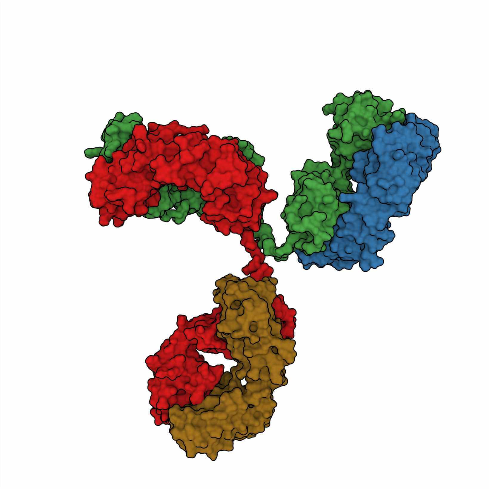 (Creative Biolabs Authorized)