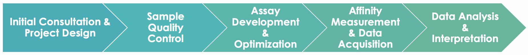 Antibody Affinity Measurement Workflow. (Creative Biolabs Original)