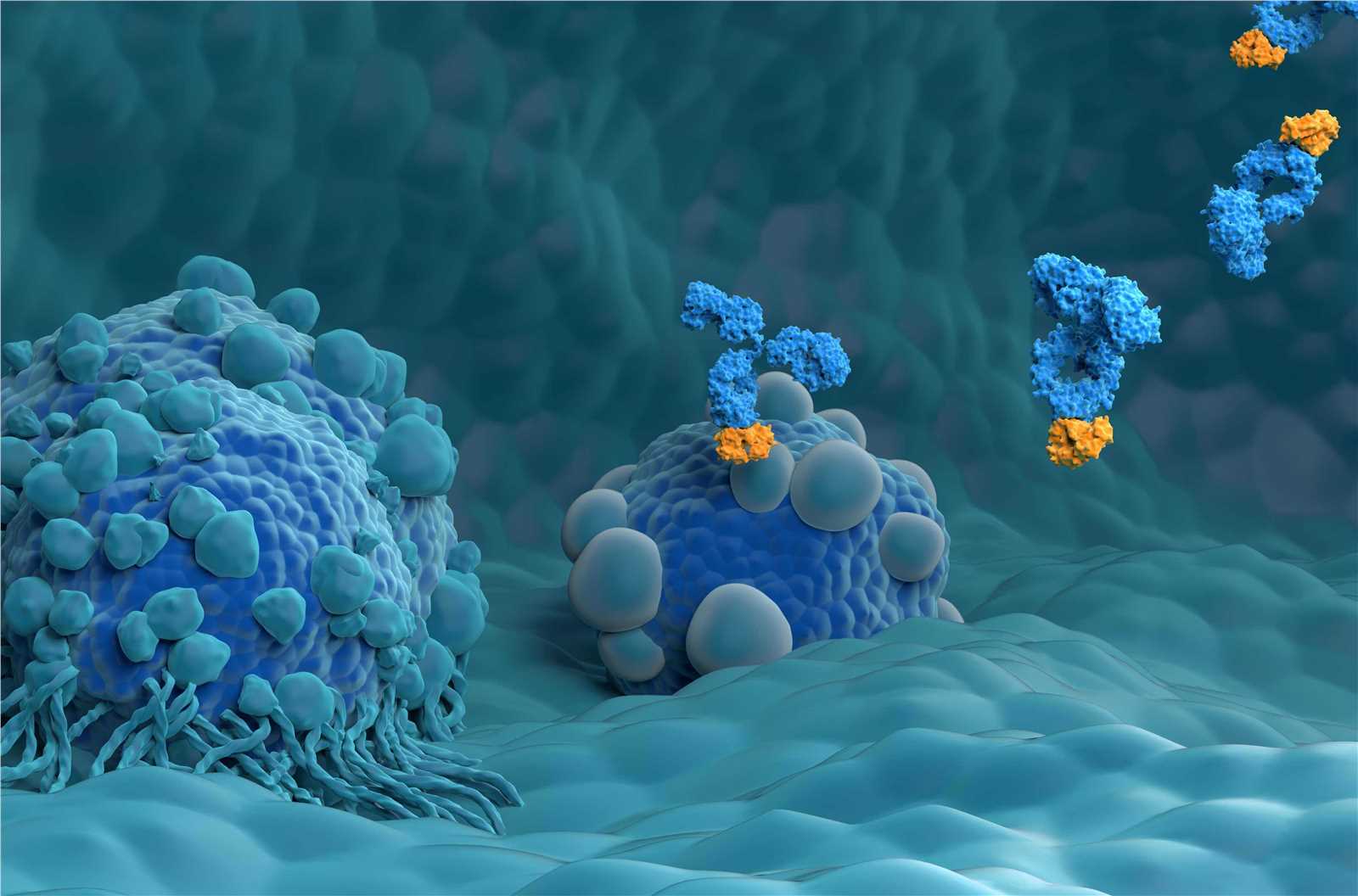 (Creative Biolabs Authorized)