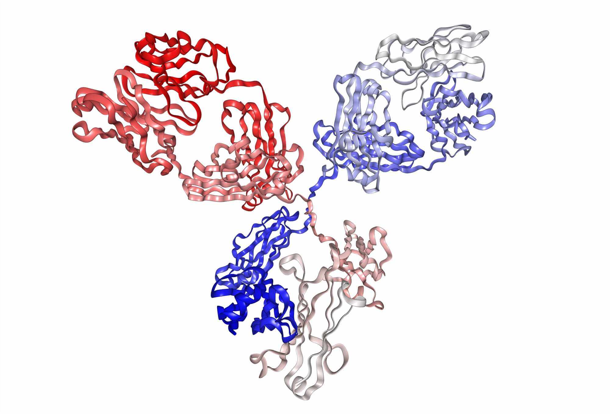 Antibody Characterization. (Creative Biolabs Authorized)