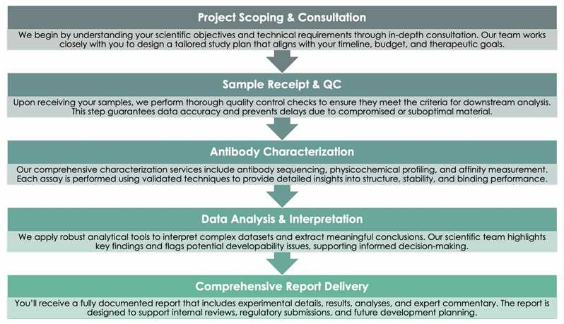 Antibody Characterization Service Workflow. (Creative Biolabs Original)