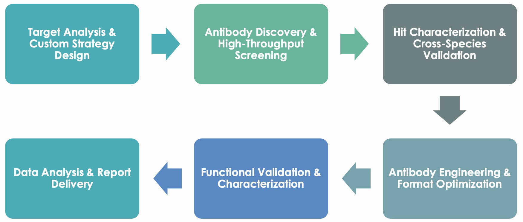 Multispecies-Specific Antibody Development Workflow. (Creative Biolabs Original)