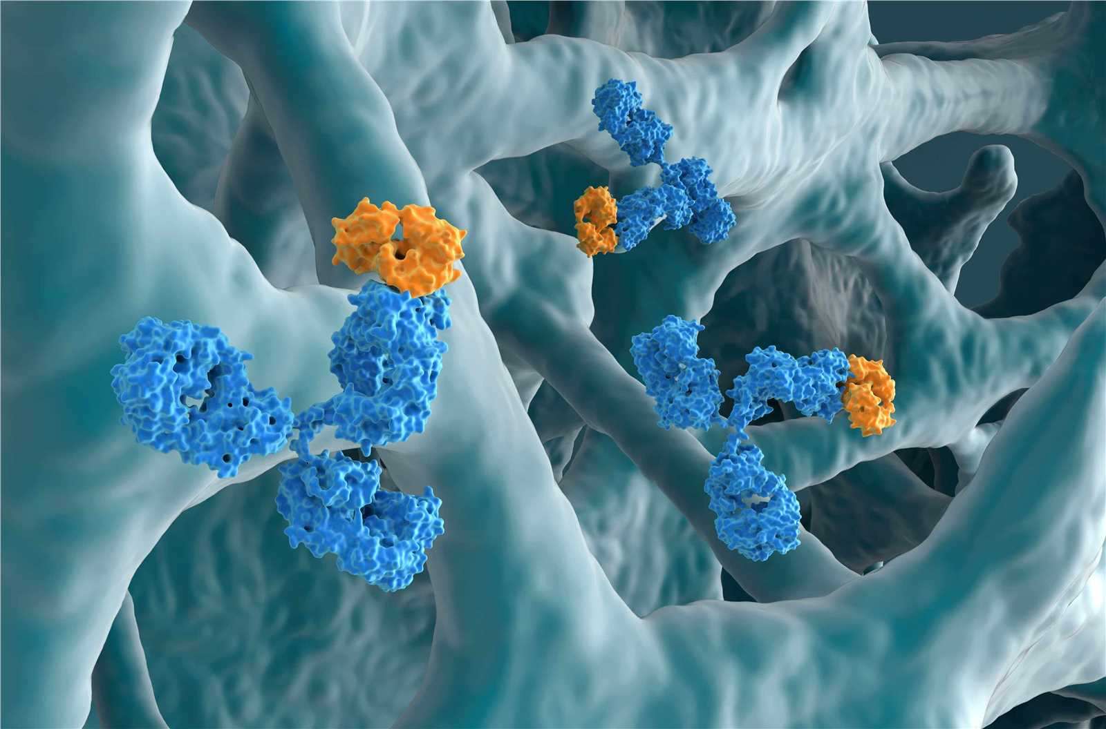 Antibody Fc Engineering. (Creative Biolabs Authorized)