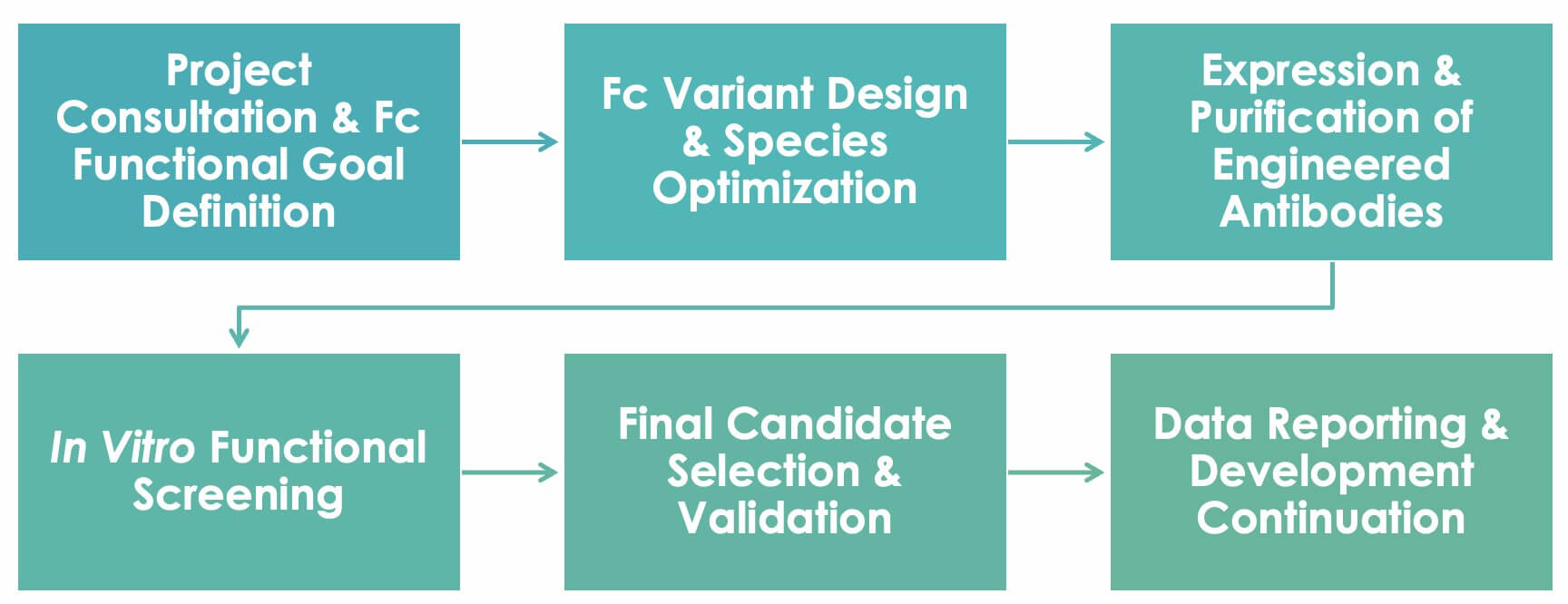 Antibody Fc Engineering Workflow. (Creative Biolabs Original)