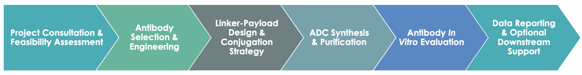 Antibody Isotype Switching Workflow. (Creative Biolabs Original)