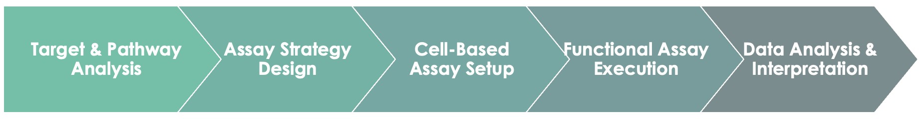 Pet Antibody Blocking & Neutralization Evaluation Service Workflow. (Creative Biolabs Original)