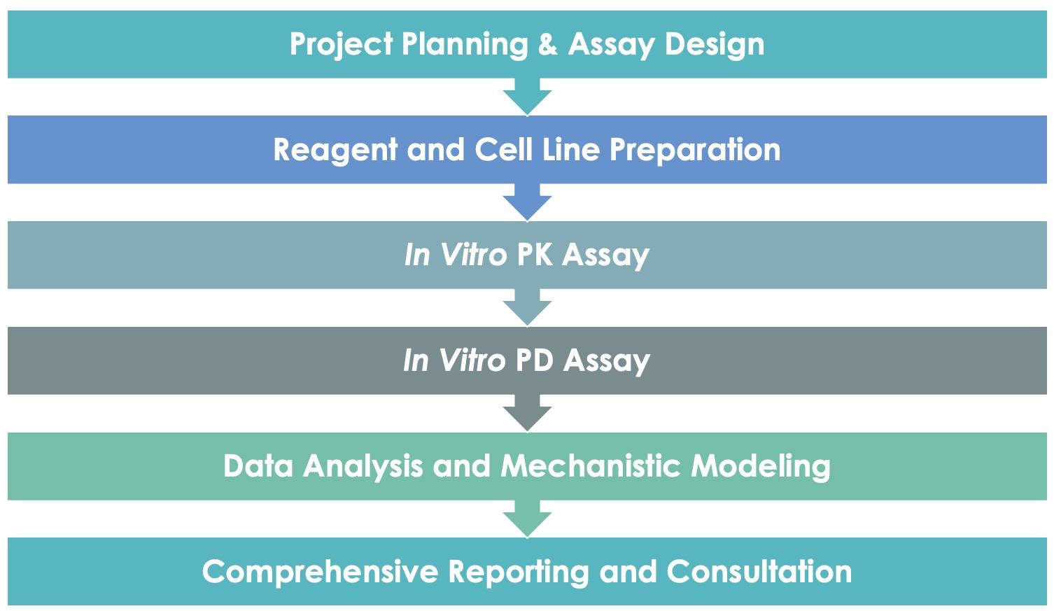 Antibody In Vitro PK/PD Evaluation Service Workflow. (Creative Biolabs Original)