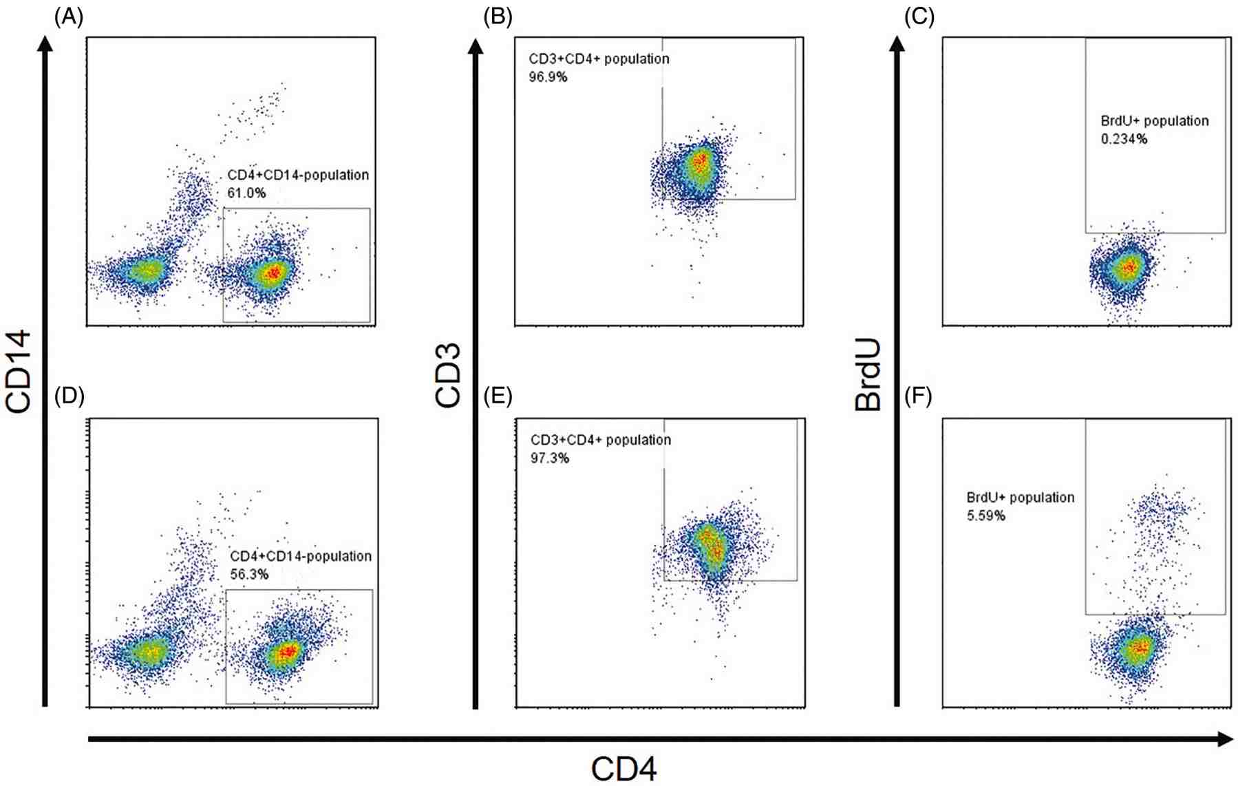 Flow cytometry gating strategy for BrdU-positive helper T cells in PBMC cultures for antibody immunogenicity assessment. (OA Literature)