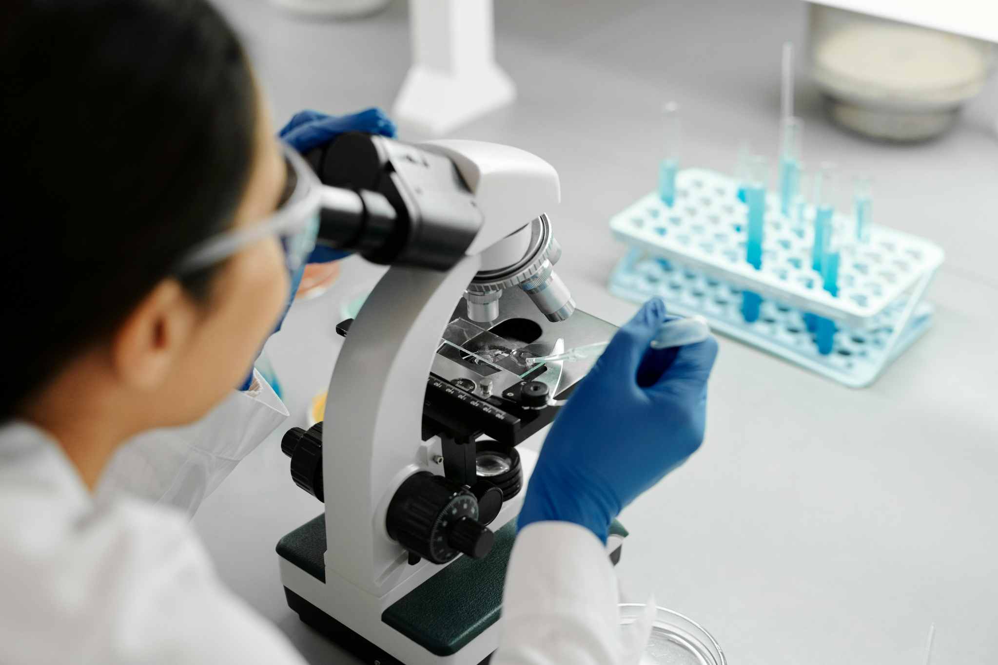 Veterinary pet antibody in vivo evaluation study design and animal monitoring