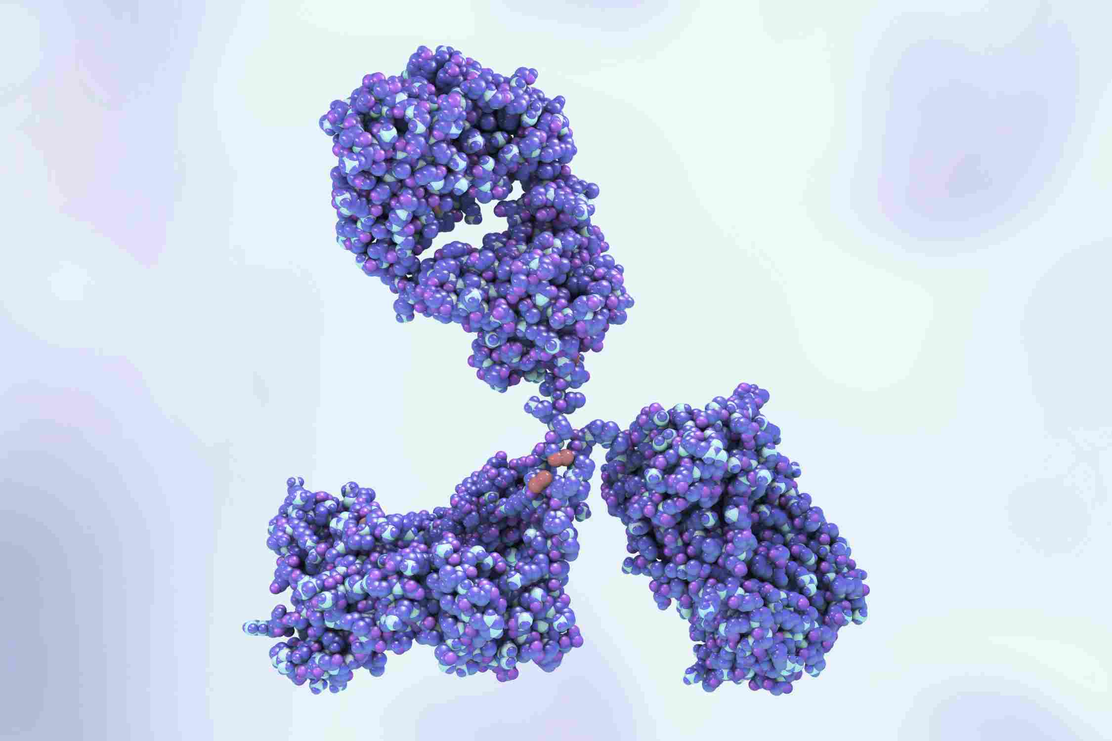 Case study illustration for canine inflammatory antibody evaluation