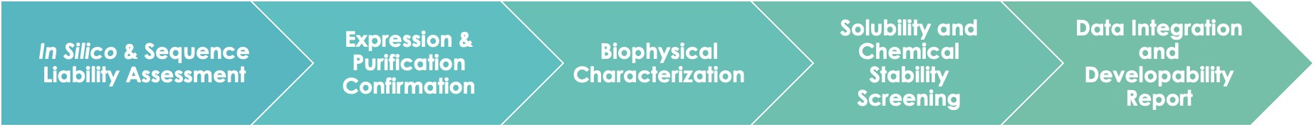 Antibody Developability Evaluation and Optimization Service Workflow. (Creative Biolabs Original)