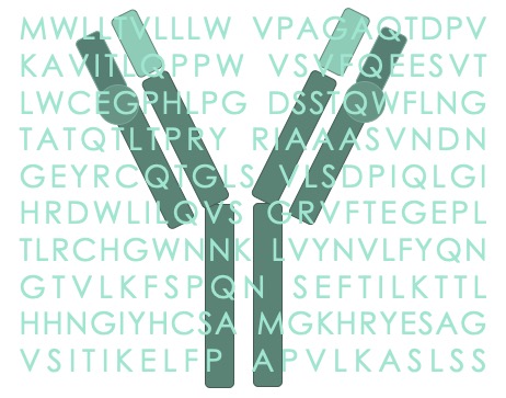 Antibody Optimization. (Creative Biolabs Original)
