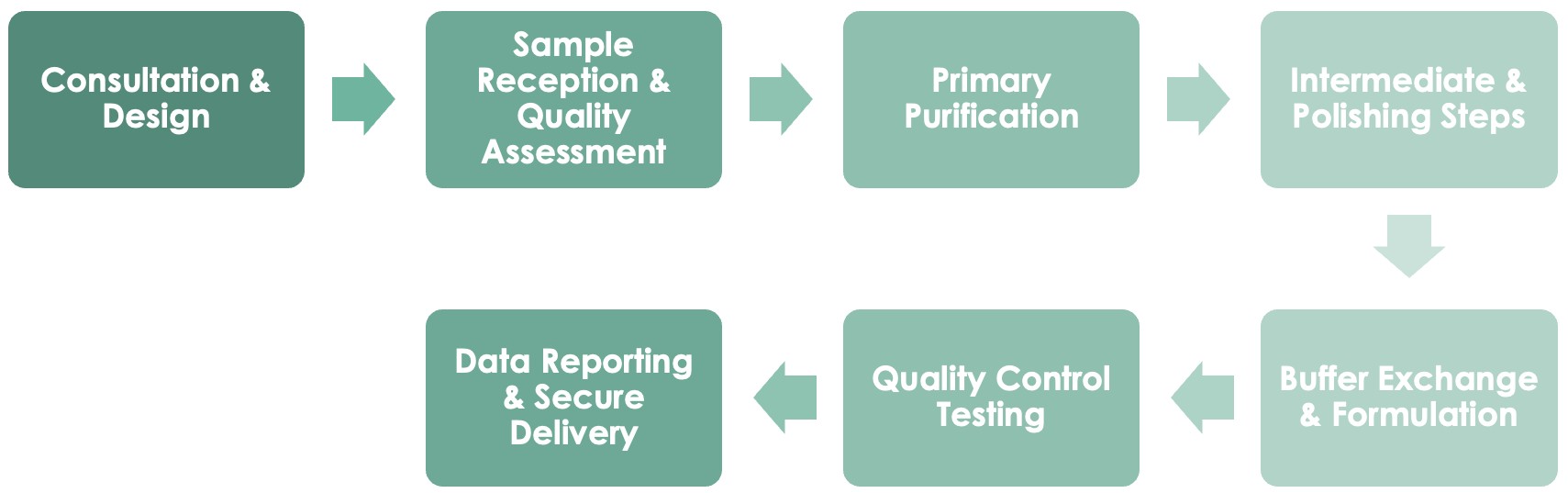 Antibody Stability-Formulation Development Service Workflow. (Creative Biolabs Original)