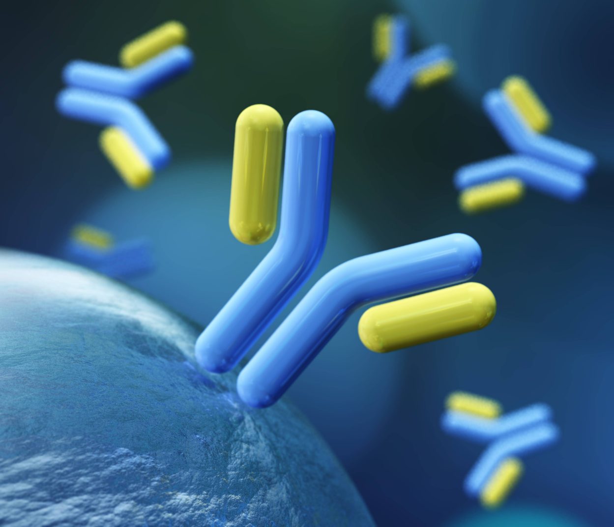 Antibody Production Case Study. (Creative Biolabs Authorized)