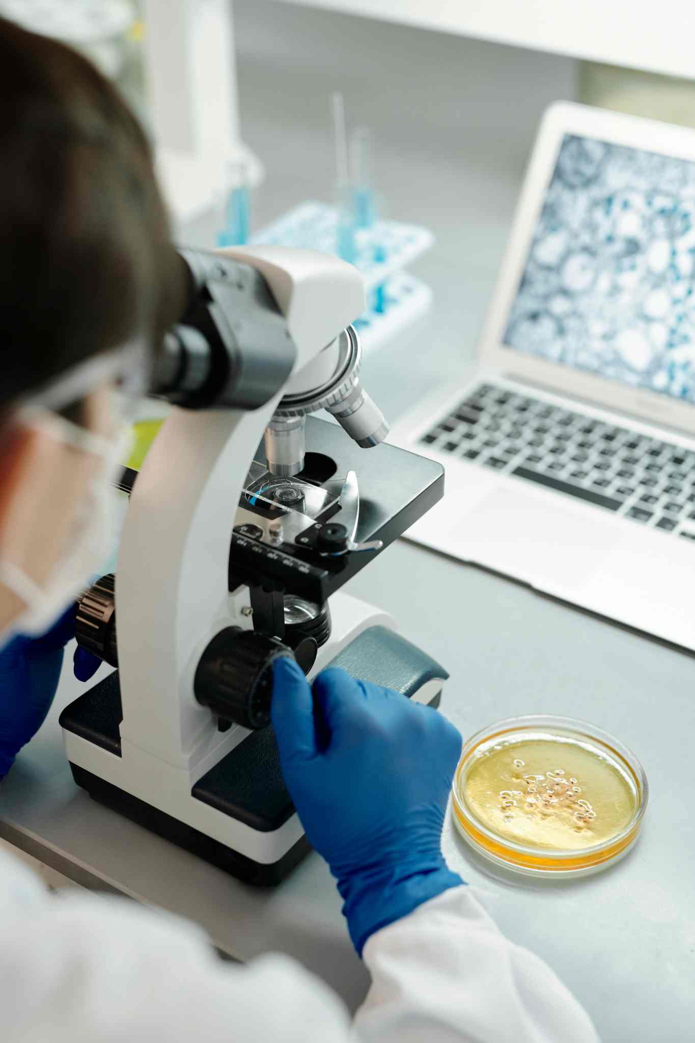 Creative Biolabs pet health in vitro model customization capabilities