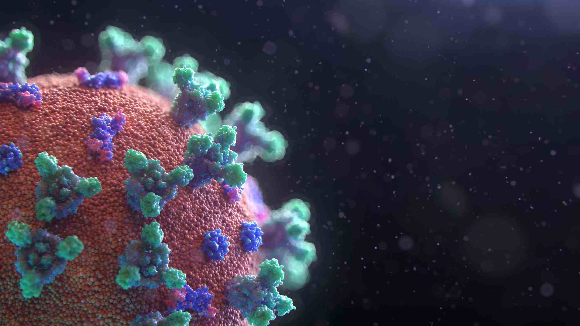 (Creative Biolabs Authorized) 