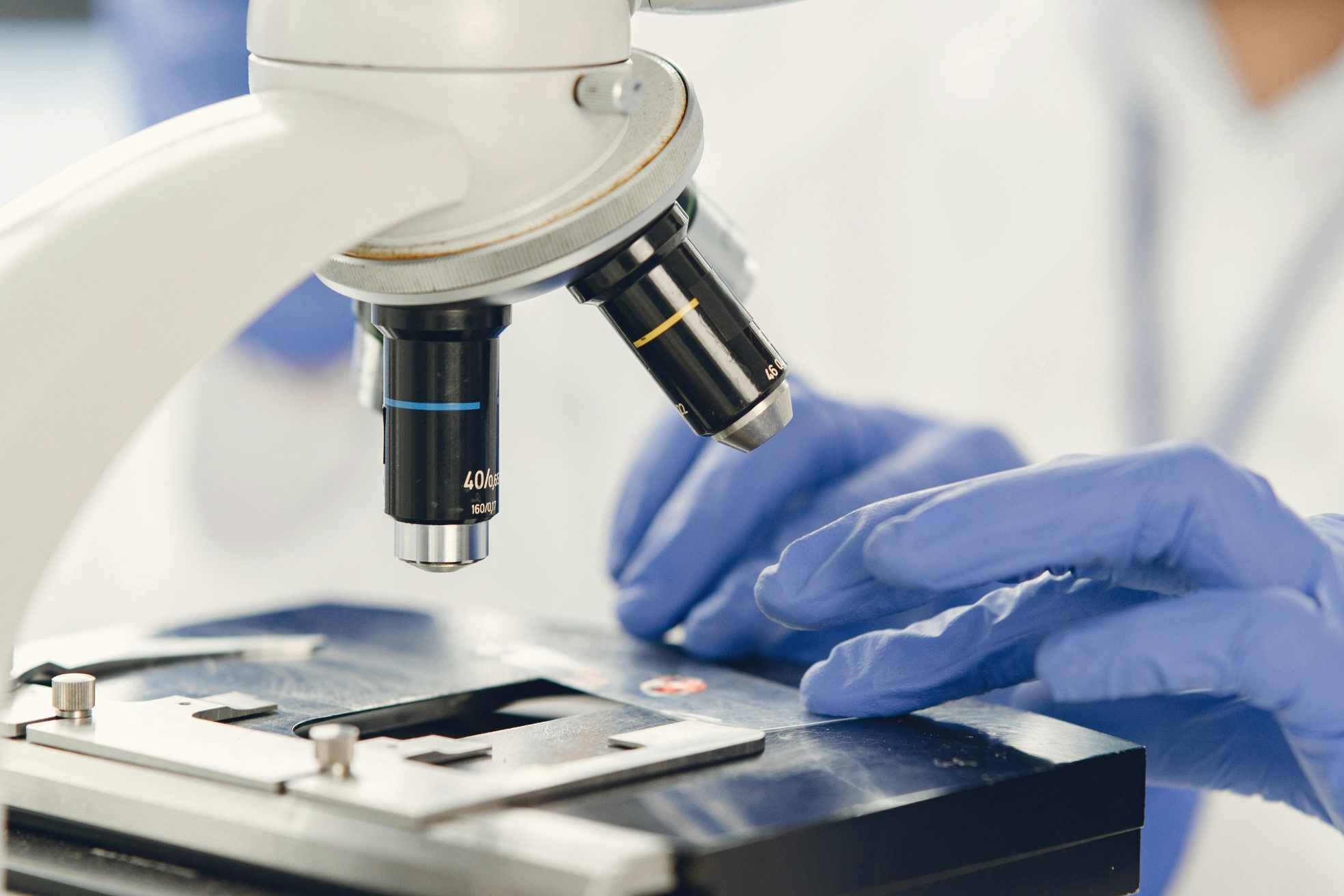 (Creative Biolabs Authorized)