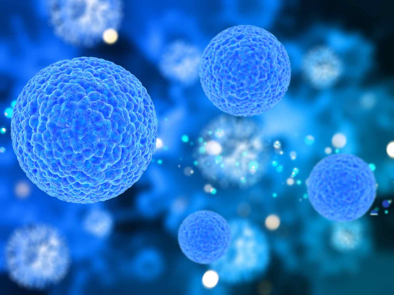 (Creative Biolabs Authorized) 