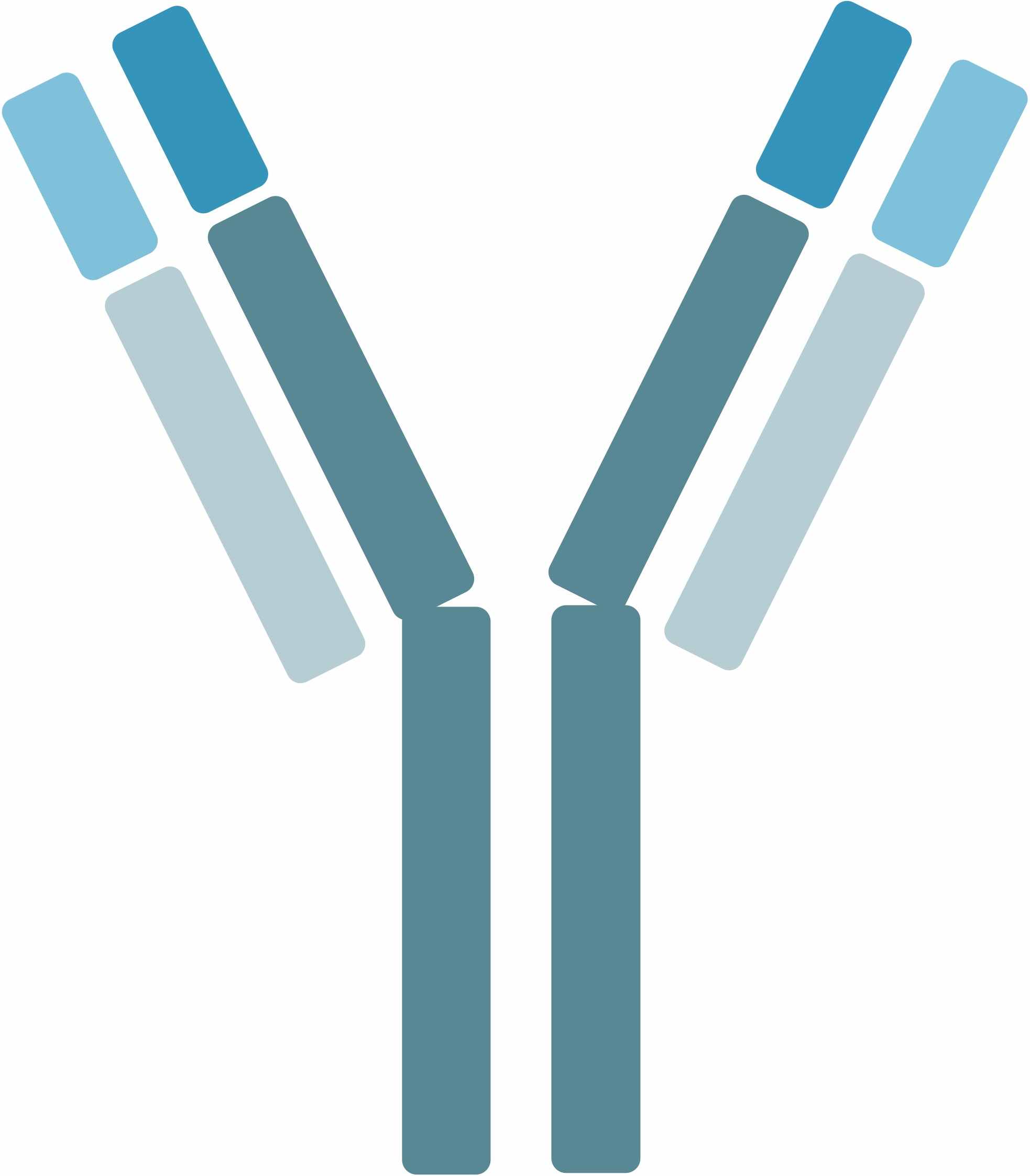 Pet VEGF Therapeutic Antibodies. (Creative Biolabs Original)