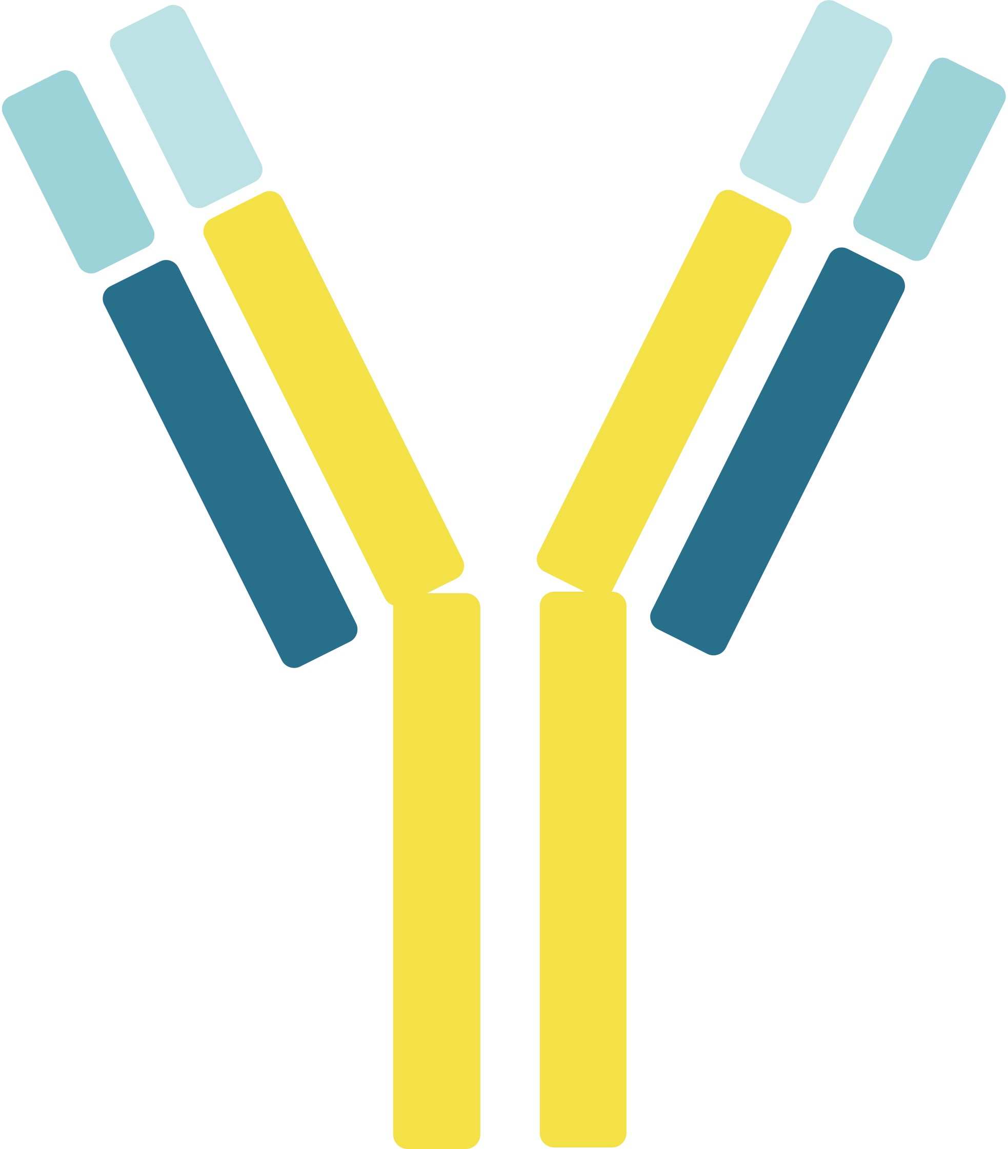 Pet IL-4 Therapeutic Antibodies. (Creative Biolabs Original)